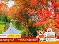 Tour Đài Loan - Đài Trung - Đài Bắc 5N4Đ (Khởi hành từ Hà Nội)