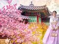 Tour Hàn Quốc Hoa Anh Đào 5N4Đ: Seoul - Nami -  Công Viên Yeouido