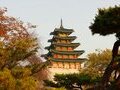 Tour du lịch mùa thu: Hà Nội - Busan - Seoul - Nami - Incheon 6N5Đ