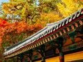 Tour Hàn Quốc 4N4Đ: Seoul - Nami - Everland | Bay Sun Phú Quốc