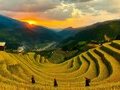 Tour Mù Cang Chải 3N2Đ Lễ 2/9 – Theo Dấu Mùa Vàng