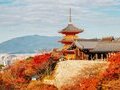 Tour Nhật Bản mùa thu 2025: Cung đường vàng từ HCM