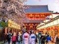 Du lịch Nhật Bản: Tokyo - Núi Phú Sĩ 5N4Đ