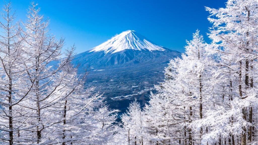 Trải nghiệm ngắm cảnh tuyệt đẹp và thiên nhiên tráng lệ quanh Phú Sĩ