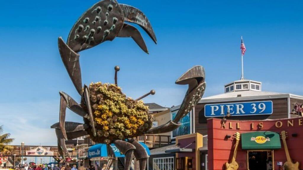 Fisherman Wharf (Pier 39) – Cảng biển sôi động, nổi tiếng với hải sản và sư tử biển