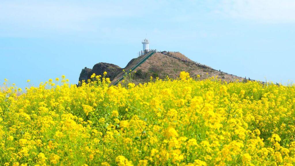 Busan Jeju 6N5Đ Thiên Đường Biểm Đảo – Hawaii xứ Hàn