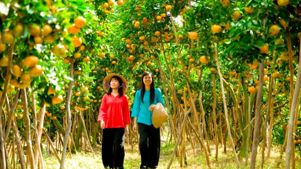 Vườn trái cây miền Tây sum suê, trĩu quả