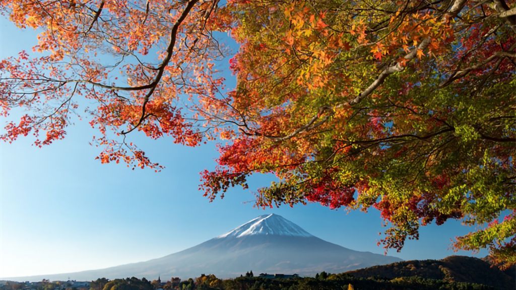 Núi Phú Sĩ mùa thu chuyển lá