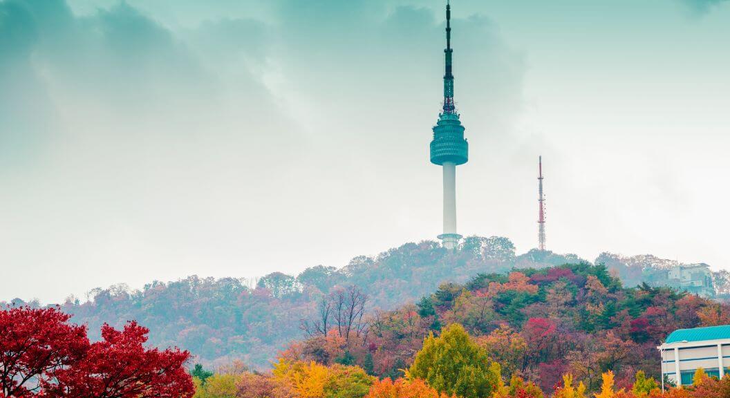 Tháp Namsan mùa thu rực rỡ lá đỏ