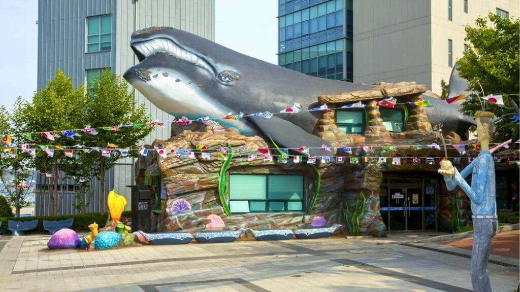 Trải nghiệm gần gũi với đại dương tại Khu sinh thái cá voi Ulsan