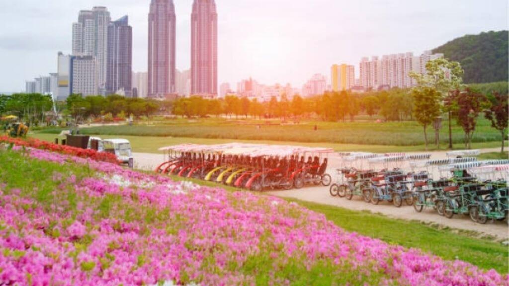 Công viên Quốc gia Taeahwagang – Điểm đến lý tưởng cho du lịch sinh thái