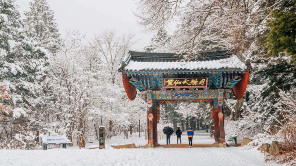 Khoảnh khắc mùa đông bình yên giữa rừng cây và sông hồ Nami