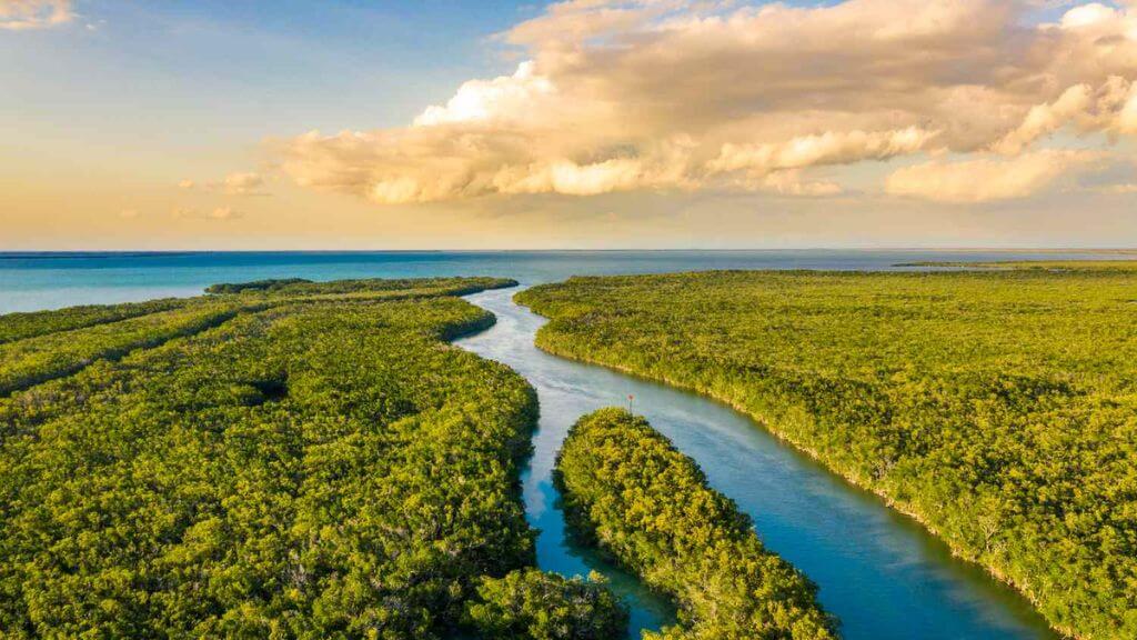 Everglades National Park nhìn từ trên cao
