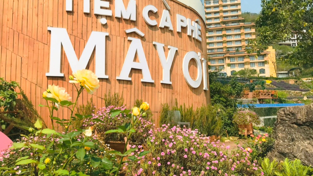 Cafe Mây Ơi một thiên đường sống ảo, check in cực đẹp view phố núi