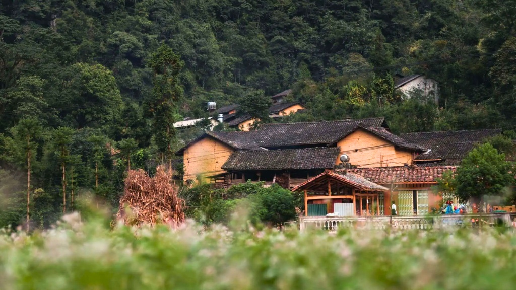 Thung lũng Sủng Là Hà Giang một đóa hoa rực rỡ giữa cao nguyên