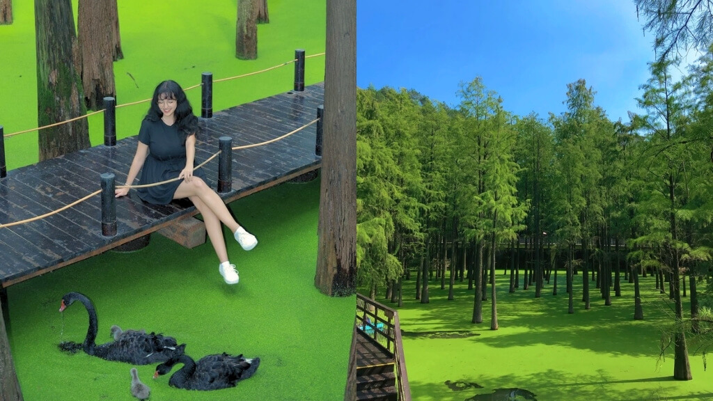 Khung cảnh thiên nhiên yên bình tại Đầm lầy Thanh Sơn