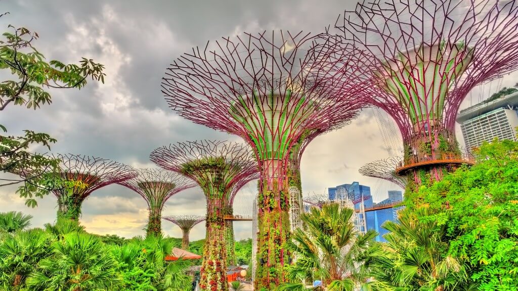 Ấn tượng công trình siêu cây khổng lồ ở Gardens By The Bay
