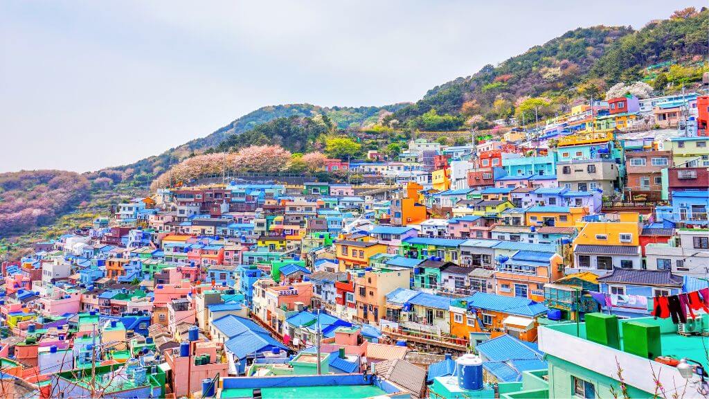 Làng bích họa Gamcheon được những nghệ sĩ phục dựng bằng những sắc màu đầy tính nghệ thuật