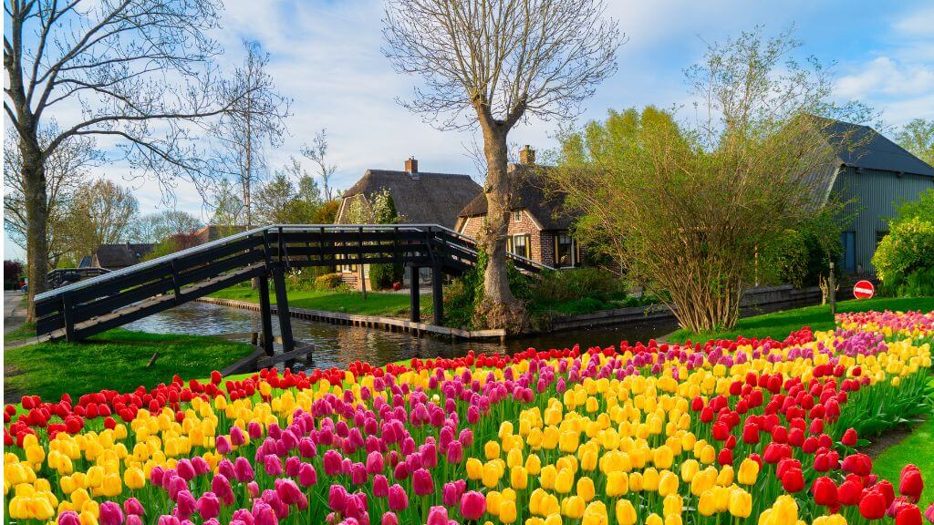 Giethoorn – ngôi làng yên bình được mệnh danh là “Venice của Hà Lan”
