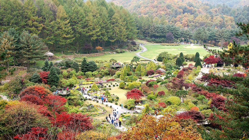 Tour Seoul Khu vườn Morning Calm Lotte World