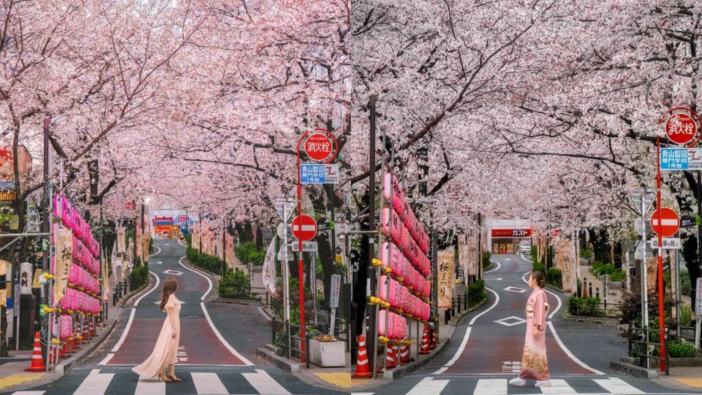 Tokyo mùa hoa anh đào thơ mộng