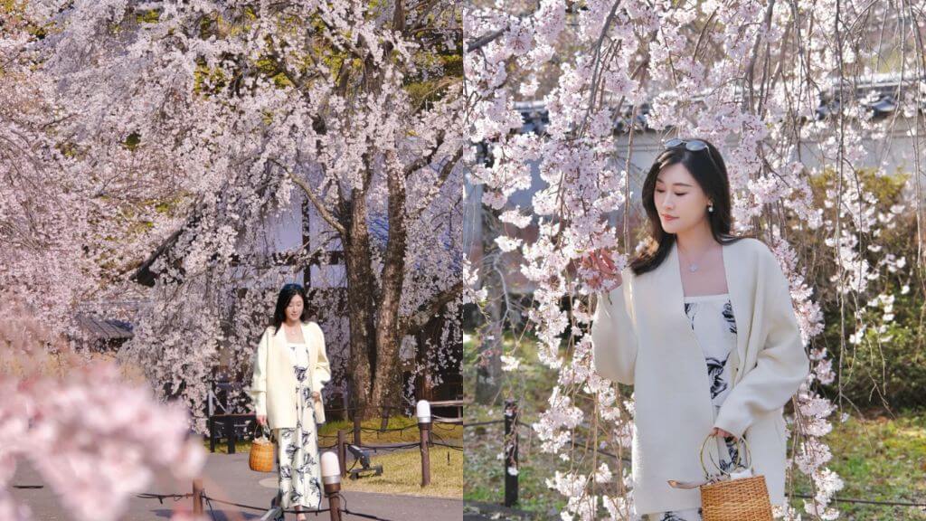 Du khách checkin tại công viên Kema Sakuranomiya – một trong những điểm ngắm hoa anh đào đẹp nhất Osaka