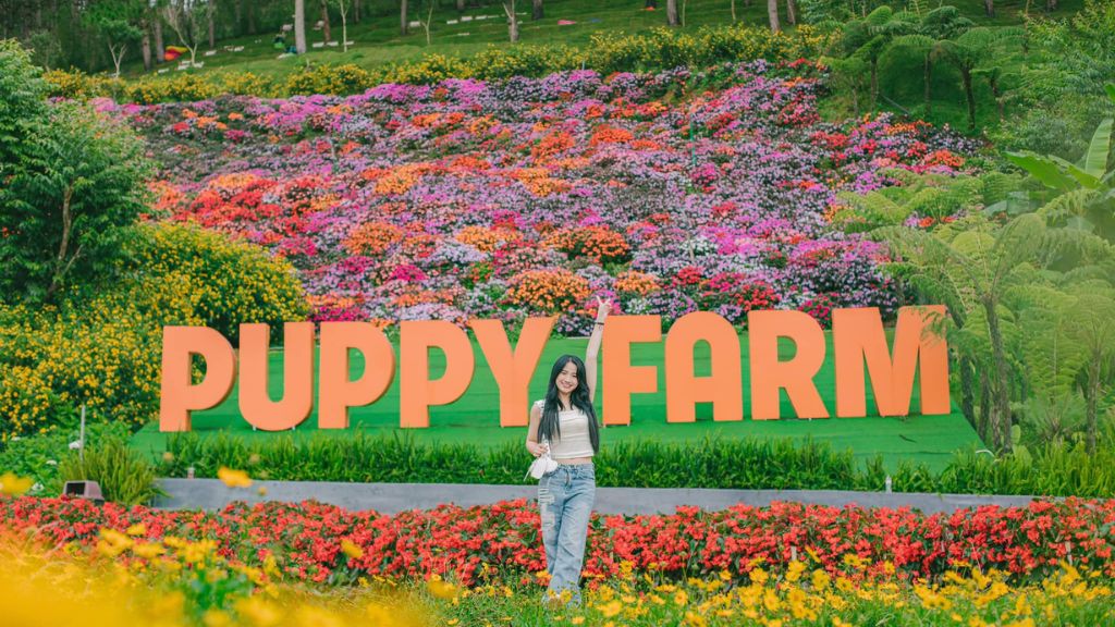 Puppy Farm  điểm du lịch Đà Lạt chú ý