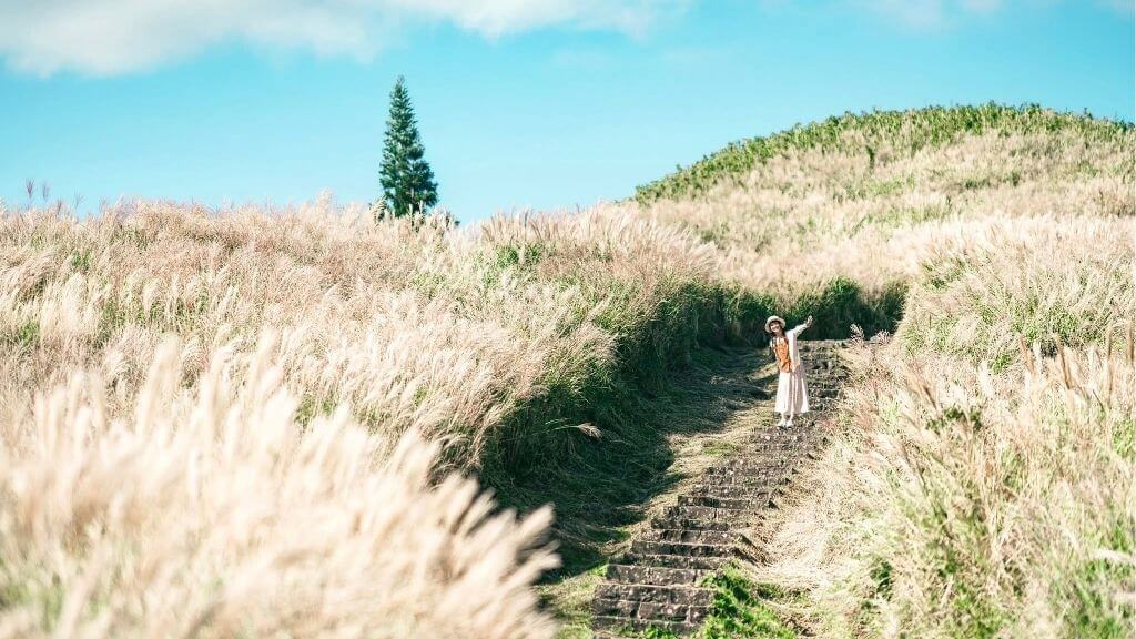 Sống ảo cực đẹp tại thiên đường Dương Minh Sơn