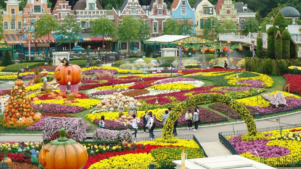 Công viên Everland rực rỡ sắc hoa