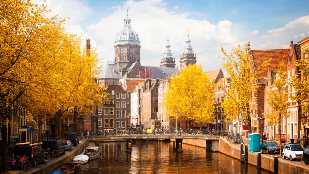 Khung cảnh lá vàng rực rỡ tại Amsterdam