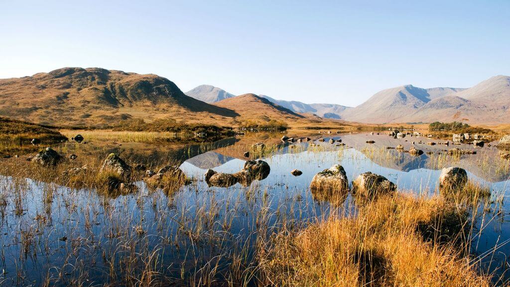 Du khám tham quan một trong những vùng đầm lầy Rannoch Moor, cổ nhất châu Âu
