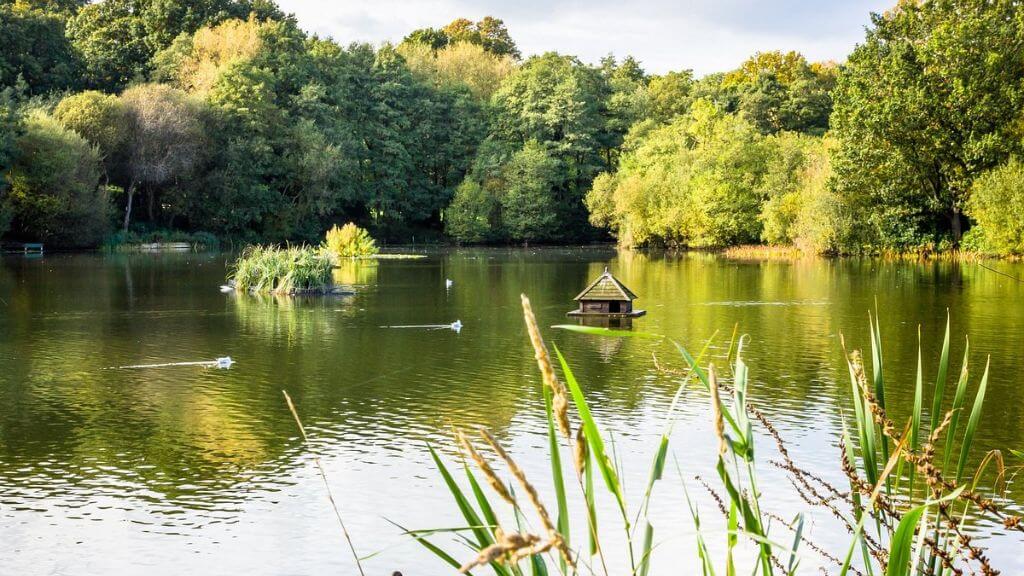 Sự yên bình của Acton Park