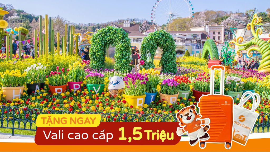 Du Lịch Hàn Quốc 5N4Đ  Hà Nội   Seoul   Nami   Công Viên Everland