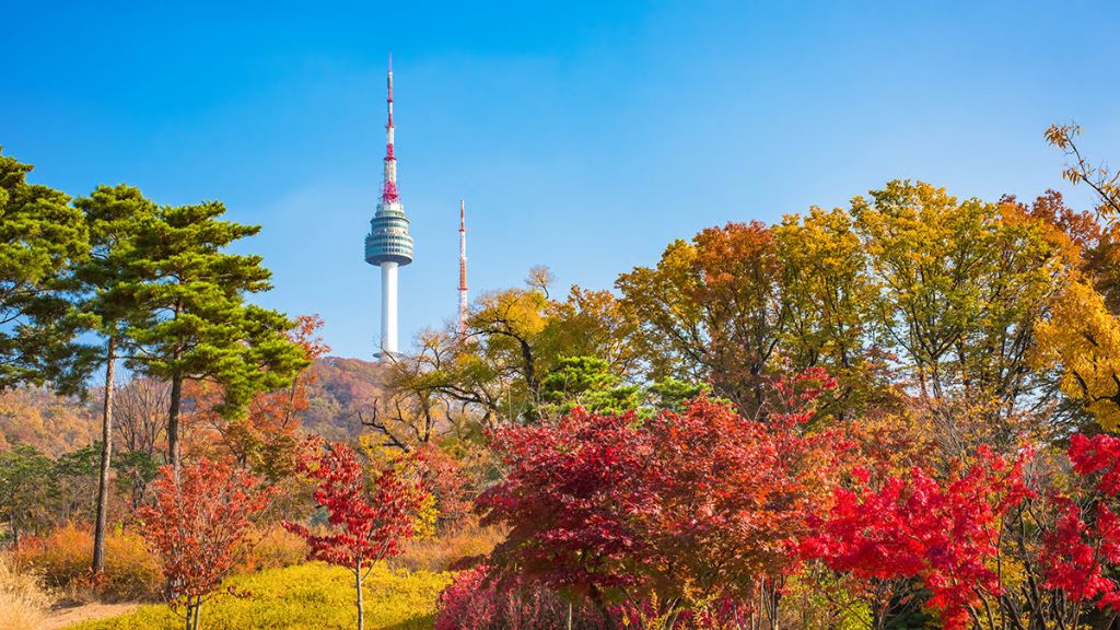 Tháp Namsan mùa lá đỏ