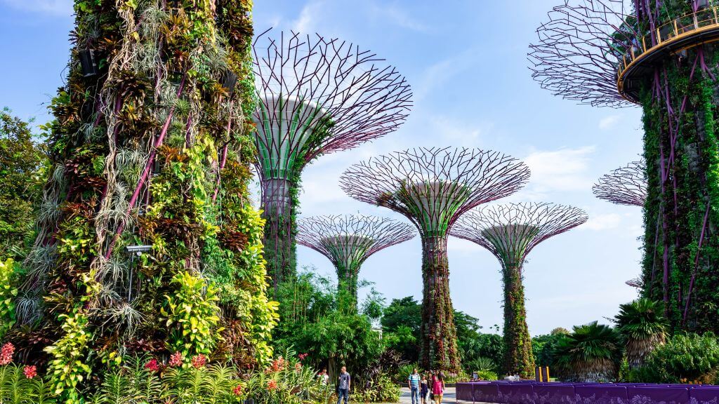 Gardens by the Bay – khu vườn sinh thái nổi tiếng với những “siêu cây” khổng lồ