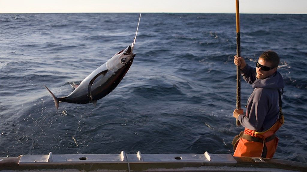Thử thách câu cá ngừ đại dương khổng lồ