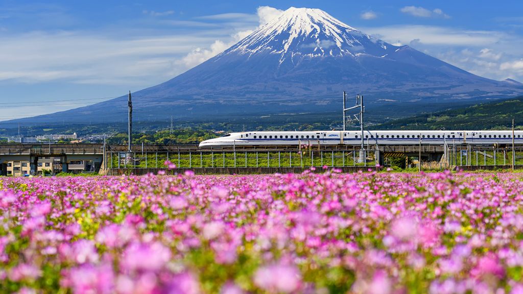 Trải nghiệm đi tàu siêu tốc Shinkansen