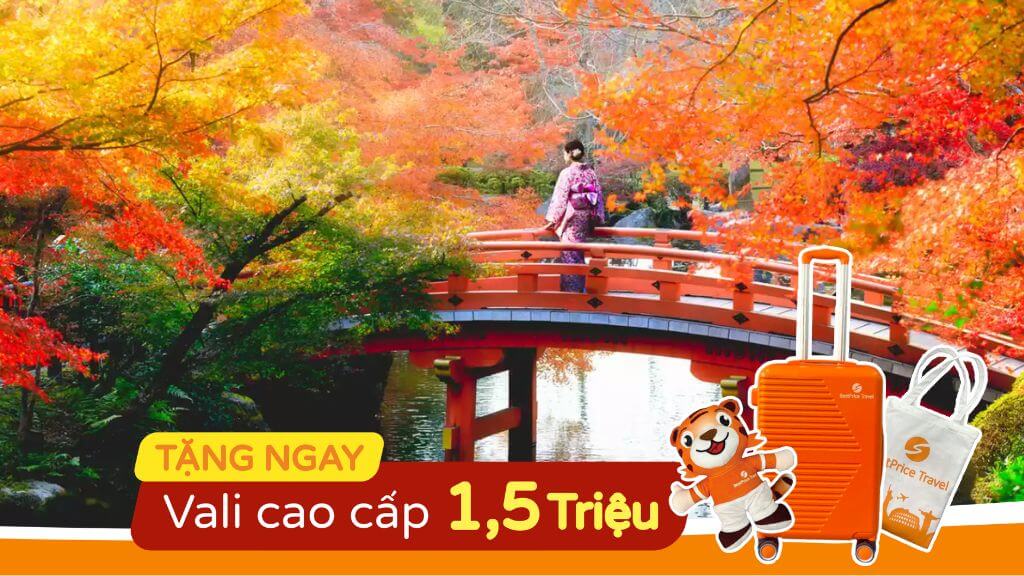 Du Lịch Nhật Bản 6 Ngày Khám Phá Thiên Nhiên và Văn Hóa Xứ Phù Tang