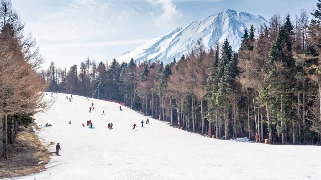 Fujiten Snow Resort ở độ cao khoảng 1.500m