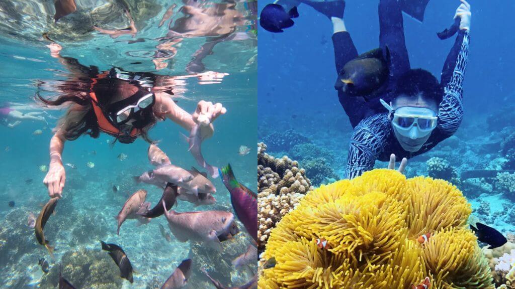 Trải nghiệm lặn ngắm san hô, bơi cùng những chú cá hề đầy màu sắc