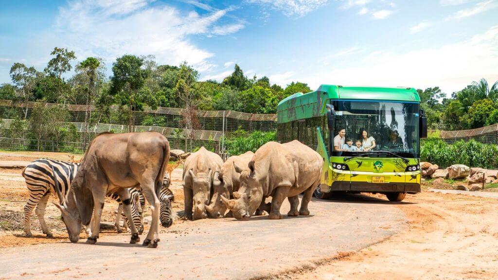 Trải nghiệm nhốt người thả thú tại Safari