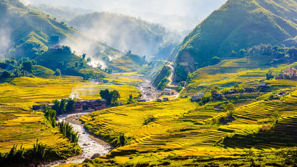 Vẻ đẹp yên bình của mùa lúa chín Sapa tại Bản Cát Cát