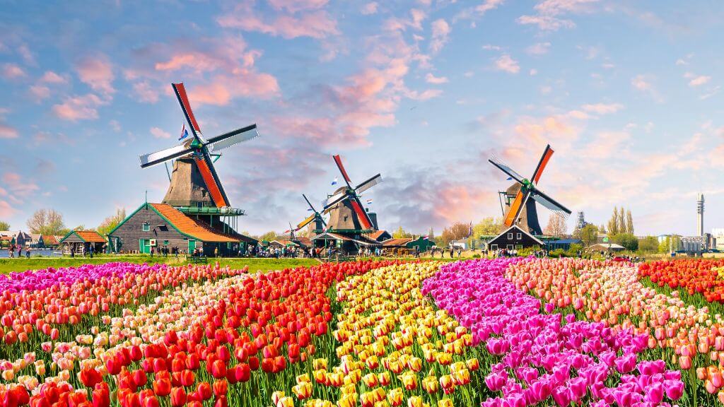 Ngôi làng cối xay gió nổi tiếng ở Hà Lan