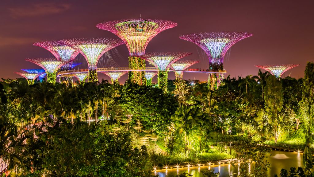 Vườn sinh thái Bay South Gardens By the Bay gấy ấn tượng với du khách