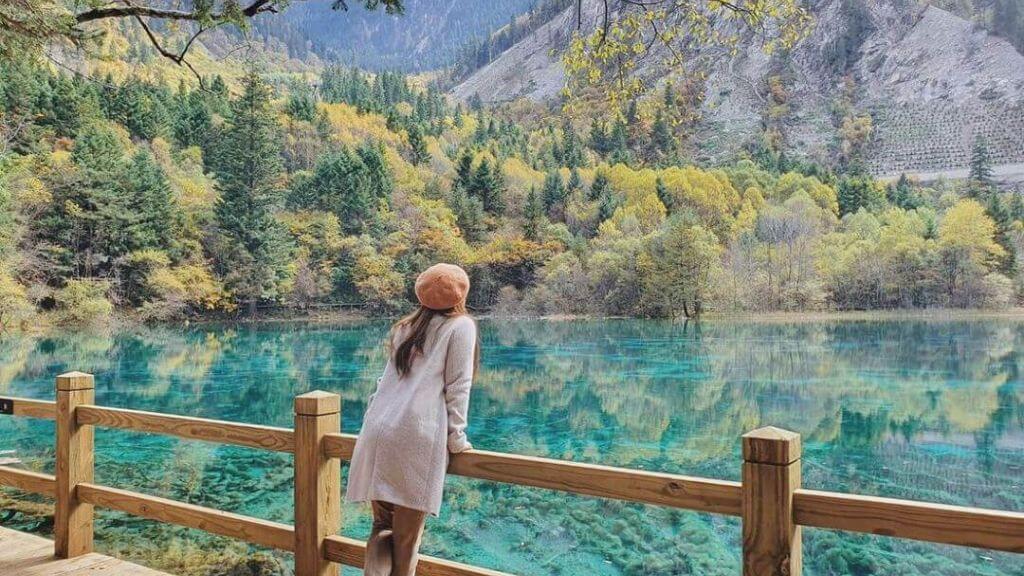 Vi vu Cửu Trại Câu
