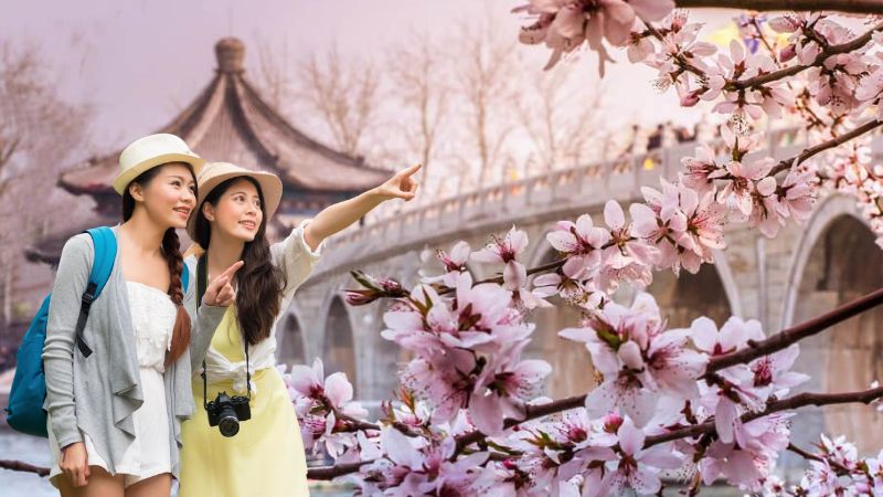 Du lịch Trung Quốc ngắm hoa anh đào