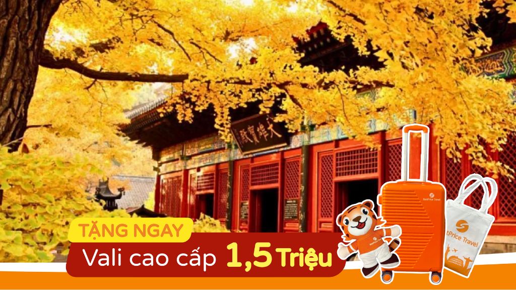 Du Lịch Trung Quốc Hà Nội   Bắc Kinh   Thượng Hải   Hàng Châu   Ô Trấn