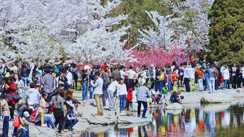 Du khách tham quan công viên Uyên Đàm vào mùa xuân