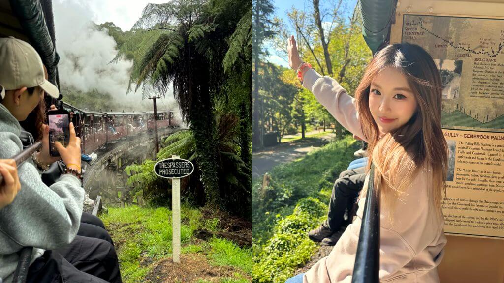 Tàu hơi nước Puffing Billy, hành trình hoài cổ giữa rừng Dandenong