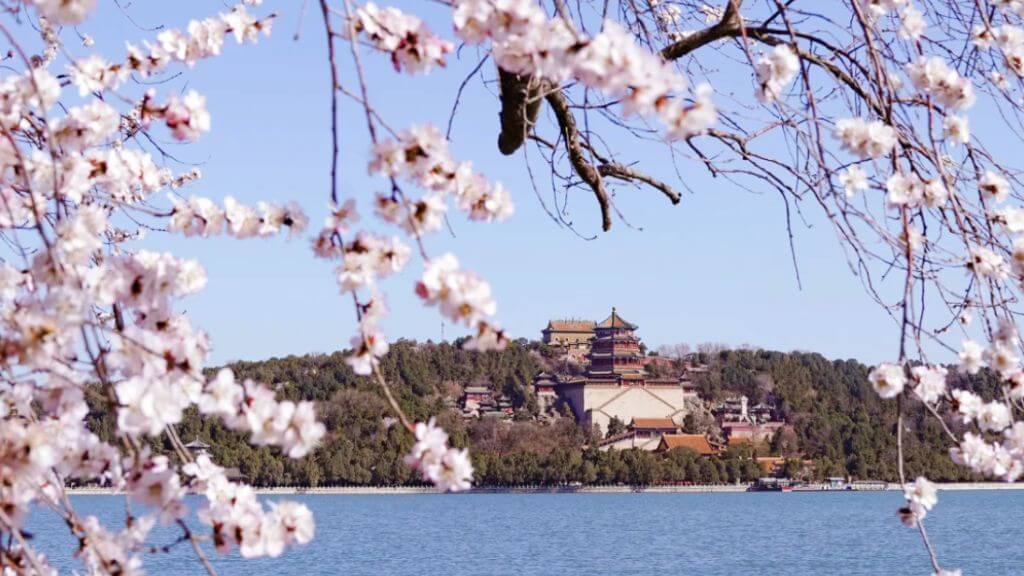 Mùa hoa anh đào thơ mộng